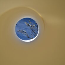 "Ciruelo" Tubo photo series.